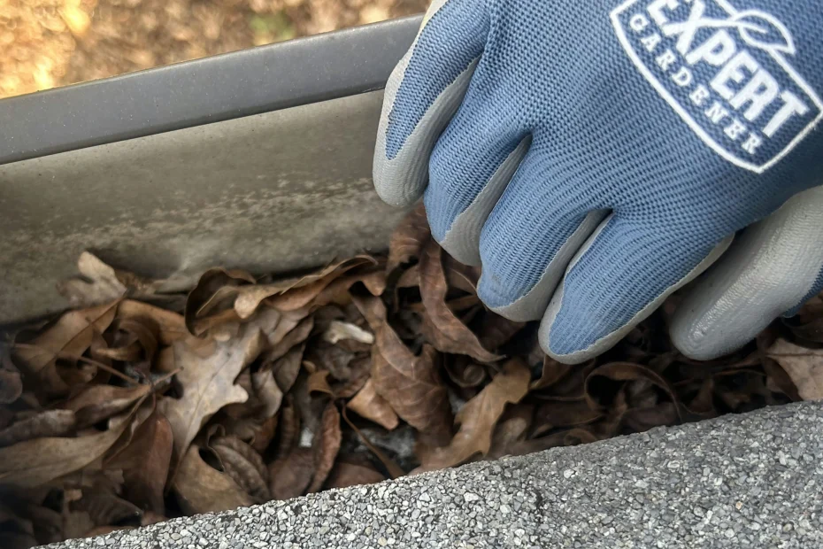 Gutter Cleaning St. Peters